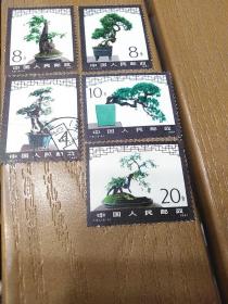 邮票 1981年T61 盆景艺术 一套6枚 少1张(6-6)