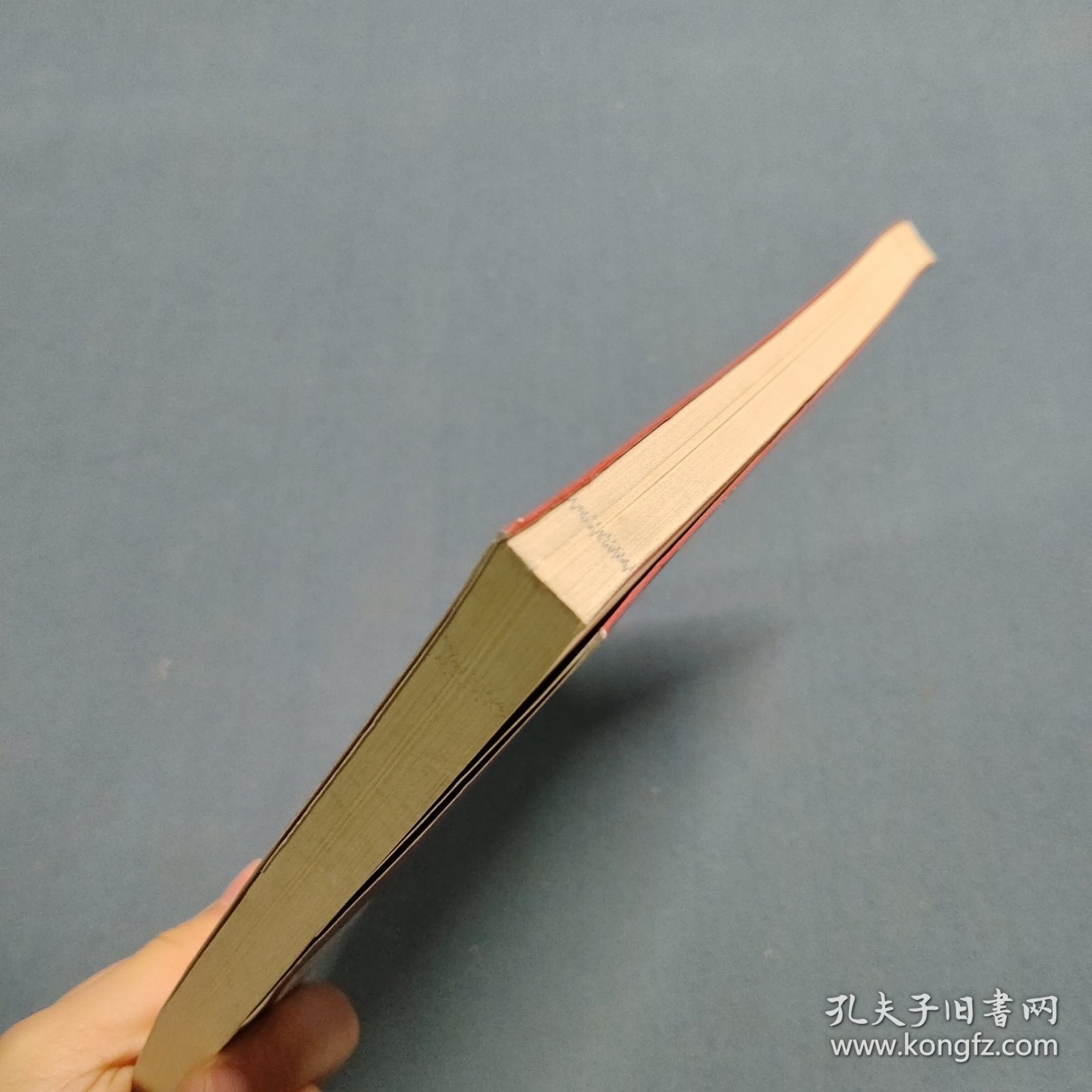 美女经济学