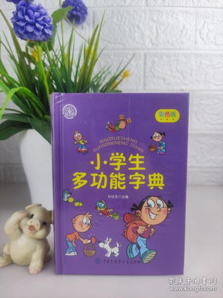 小学生多功能字典(彩色版)