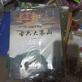 中国普洱茶古六大茶山