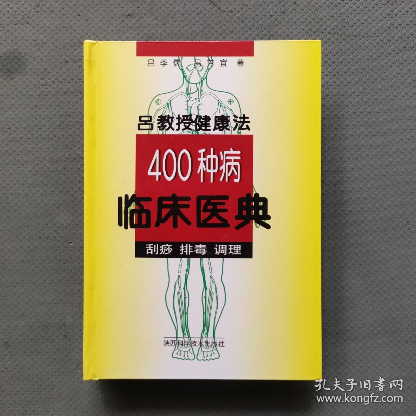 吕教授健康法400种病临床医典:刮痧 排毒 调理