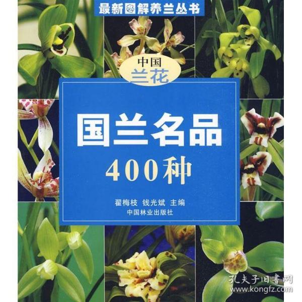 国兰名品400种 园林艺术 翟梅枝 新华正版