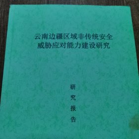 云南边疆区域非传统安全威胁应对能力建设研究研究报告+修改情况报告(两本合售)