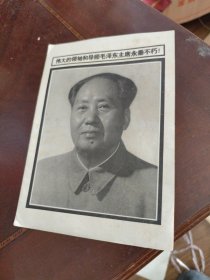 天津市电影公司编印 电影介绍 1976年 7 伟大的领袖和导师毛泽东主席永垂不朽