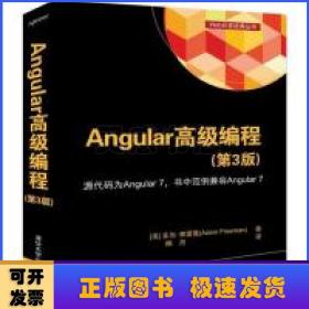 Angular高级编程