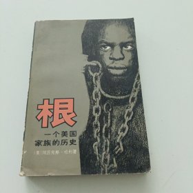 根 一个美国家族的历史 上