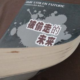 被偷走的未来