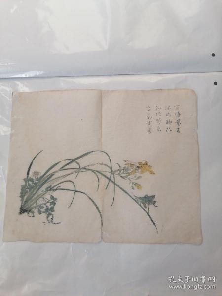 “清中早期多色套印”清精刻套印，《十竹斋书画谱》（草虫花卉谱）存一张全芥子园画传青在堂画谱，清中早期中国刻本，白纸精刻套印，版本独特写刻精美，老纸残页规格32.4*25.8厘米，可用作古籍版本留真谱，保老。