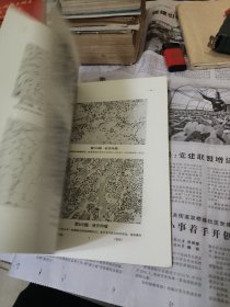 病理组织学图谱总论部分