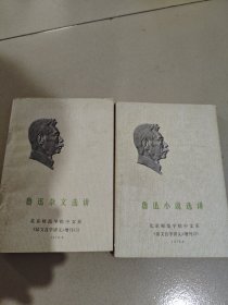 鲁迅杂文选讲、鲁迅小说选讲（两本合售）