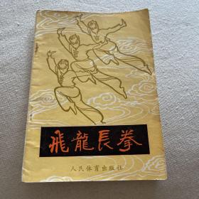 飞龙长拳