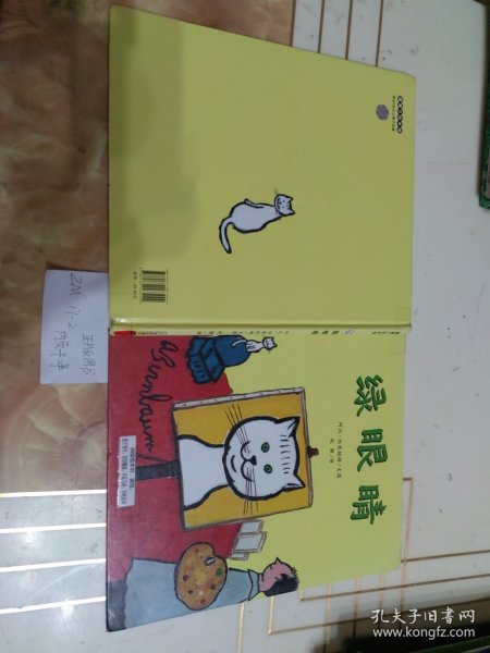 幼儿童图书 绿眼睛