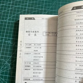 微型小说选刊2008.17-24（8册合售）