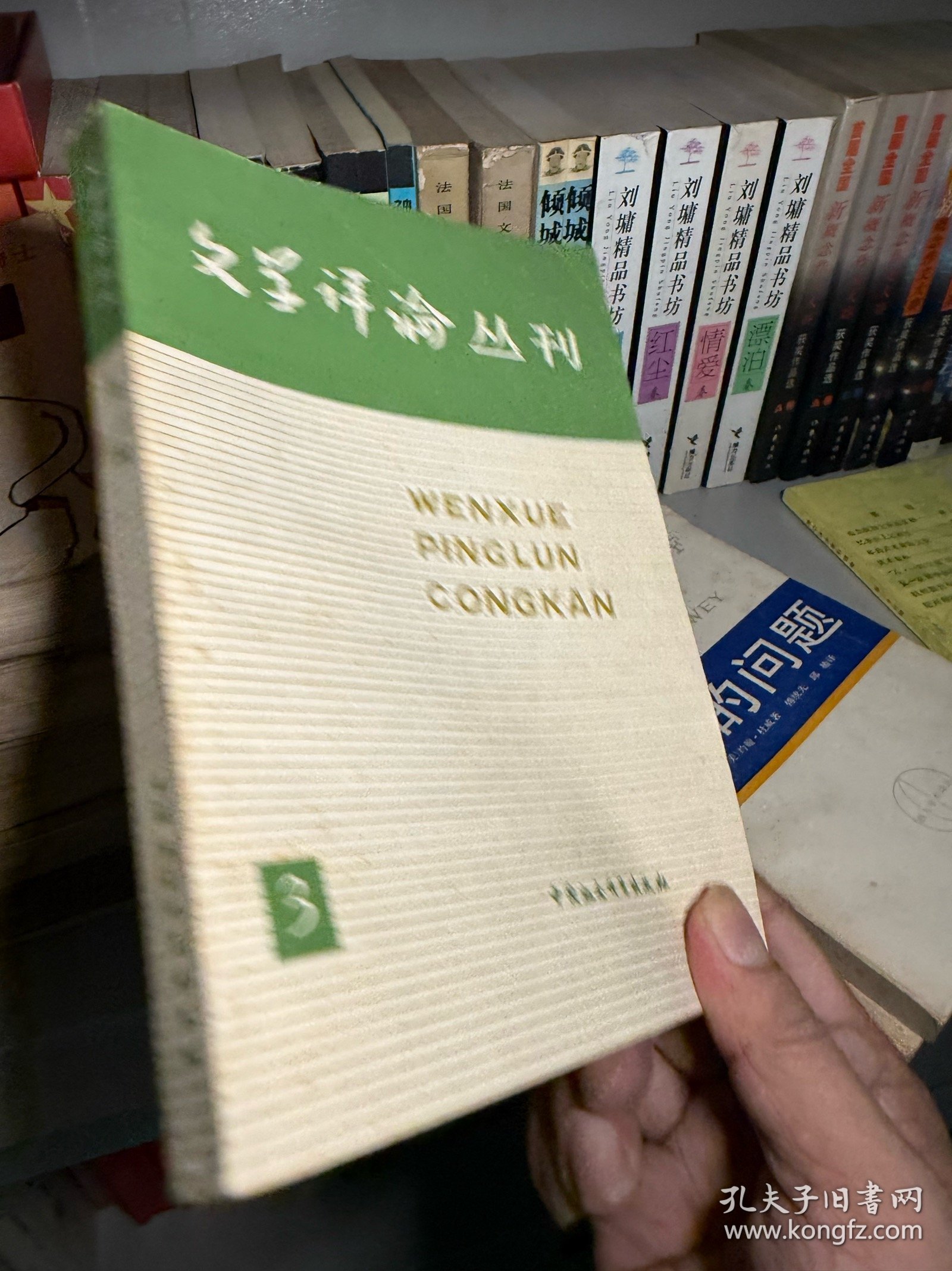 文学评论丛刊第三辑