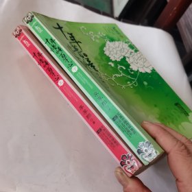 十年懵懂百年心（上下）
