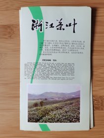 2张6页！浙江茶叶-珠茶.龙井茶广告，其中2页出口英文茶叶目录，茶叶资料！浙江资料，单页双面广告页.广告纸！