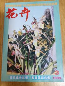 花卉 1999年05月 第 3 期 总第 79 期