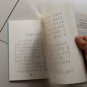 拼音王国·名家经典书系3：小小的故事