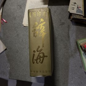 辞海缩印本 1999年缩印本