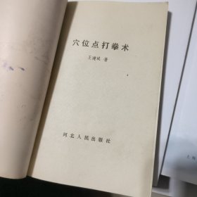 穴位点打拳术