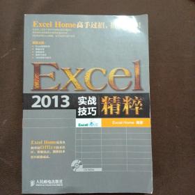 Excel 2013实战技巧精粹