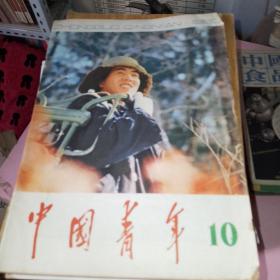 中国青年1980年10期