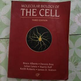 MOLECULAR BIOLOGY OF THE CELL(有笔迹，划线)