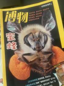 博物2022年1-12期全