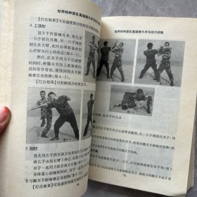 世界特种部队高级格斗术与功力训练