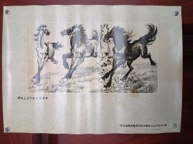 1979年湖北省革委会知识青年上山下乡办公室印制的徐悲鸿奔马图画片一张，八开，品好，包真包老包快递发货。