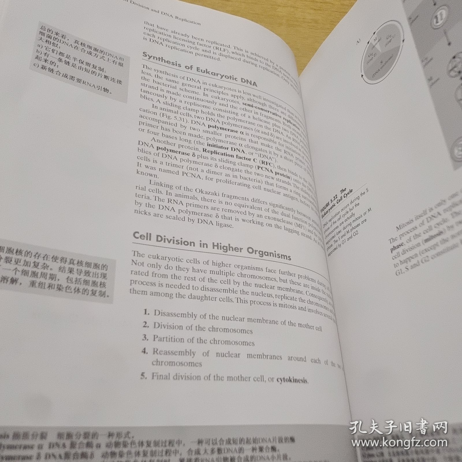 分子生物学（第2版）