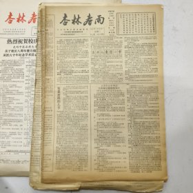 杏林春雨报纸29份合售