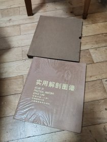 实用解剖图谱―四肢分册【上肢】12开彩色精装 有外套