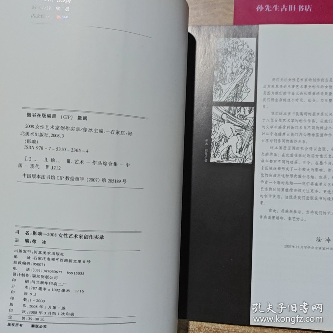 影响:20 08女性艺术家创作实录:The true records of works by 2008 female artists