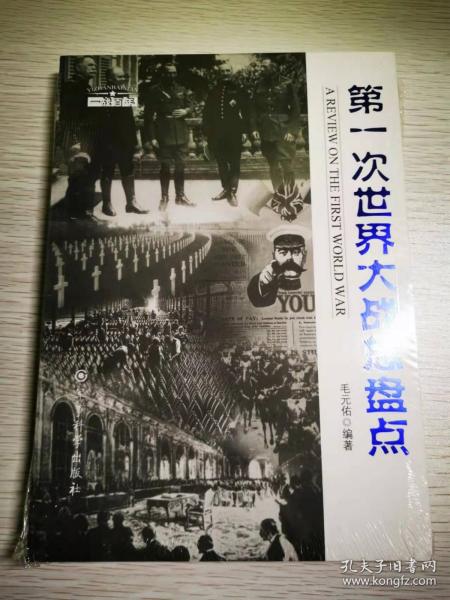 “一战百年”系列丛书：第一次世界大战总盘点