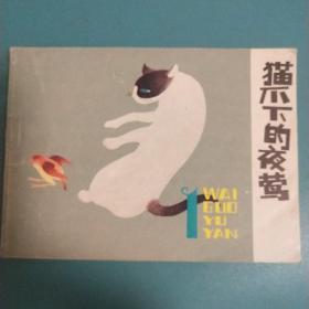 猫爪下的夜莺