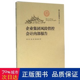 企业集团风险管控会计内部报告