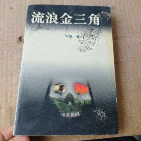 流浪金三角