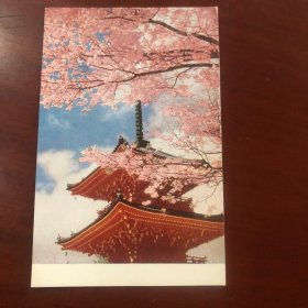 民国时期 明信片 京都 五重塔