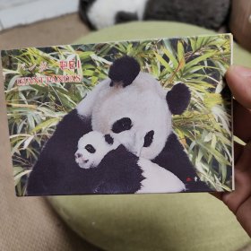 中国大熊猫（明信片 全10张）