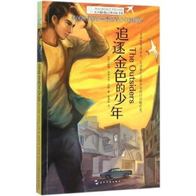 【正版书籍】长青藤国际大奖小说书系：追逐金色的少年