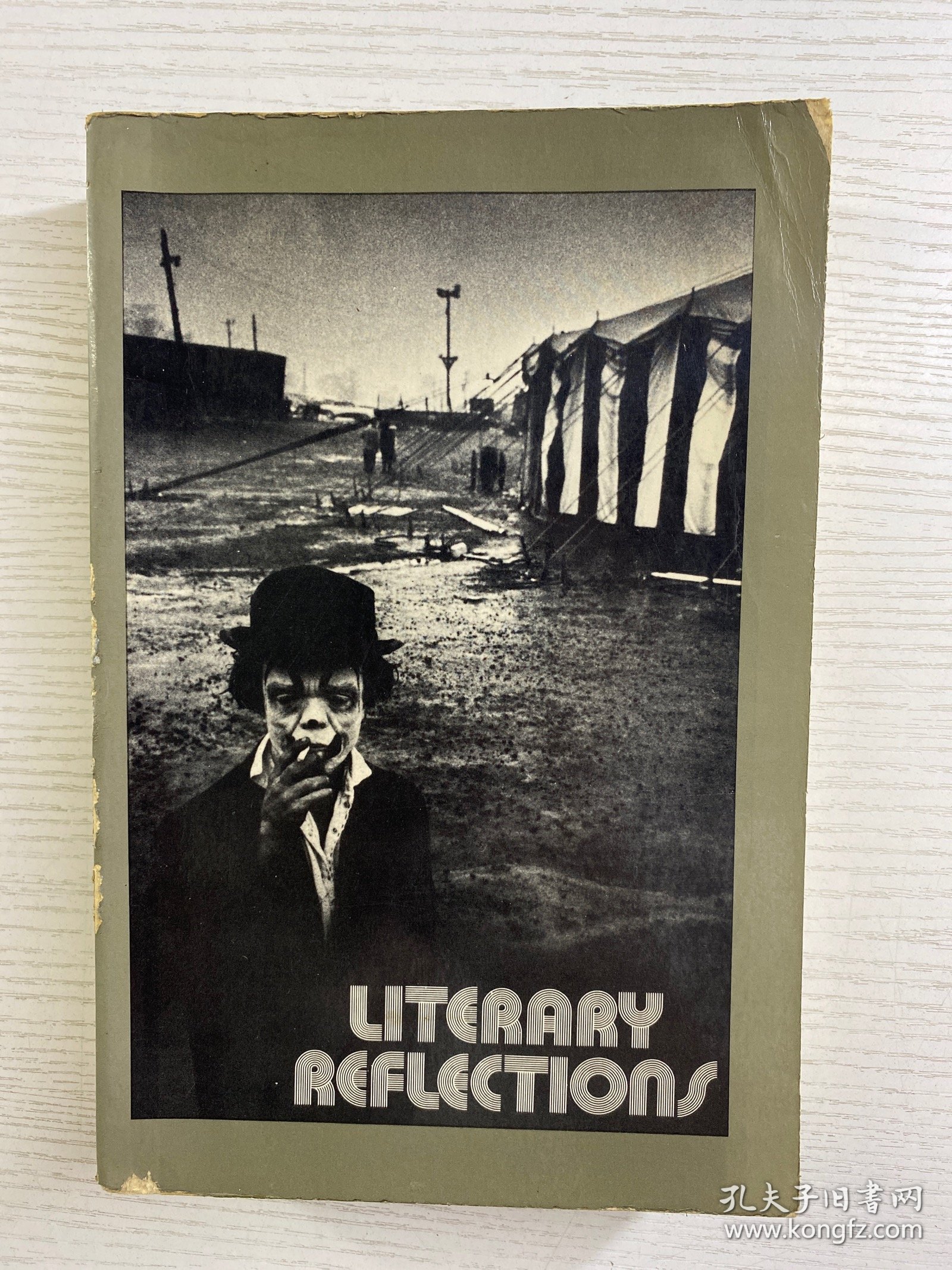 Literary Reflections 文学反思（1971年英文原版）正版如图、内页干净
