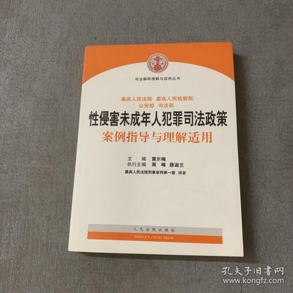 司法解释理解与适用丛书：性侵害未成年人犯罪司法政策案例指导与理解适用