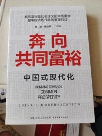 奔向共同富裕（读懂共同富裕，看清未来中国！深入浅出，雅俗共赏，两大TOP级智库联袂巨献，通俗理论重磅大作！）