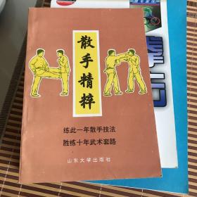 散手精粹散打搏击