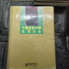 中国总会计师实用大全