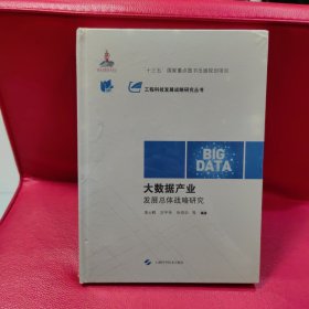 大数据产业发展总体战略研究(工程科技发展战略研究丛书)