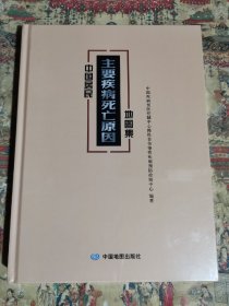 中国居民主要疾病死亡原因地图集