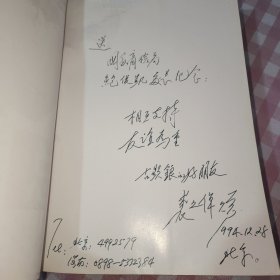总设计师