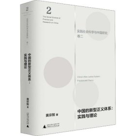 中国的新型正义体系：实践与理论（实践社会科学与中国研究·卷二）